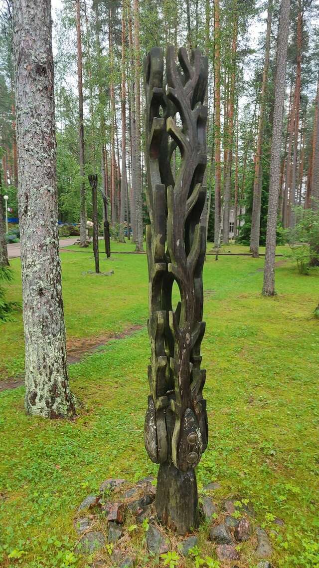 Гостиница Райвола Рощино-76