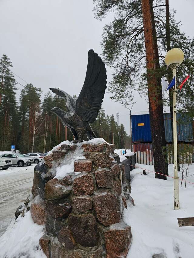 Гостиница Райвола Рощино-165