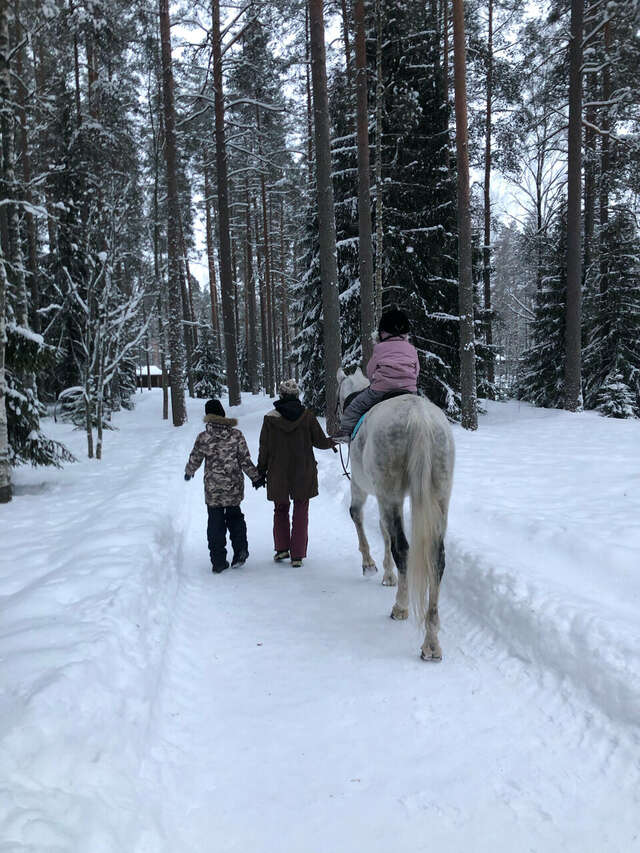 Гостиница Райвола Рощино-147