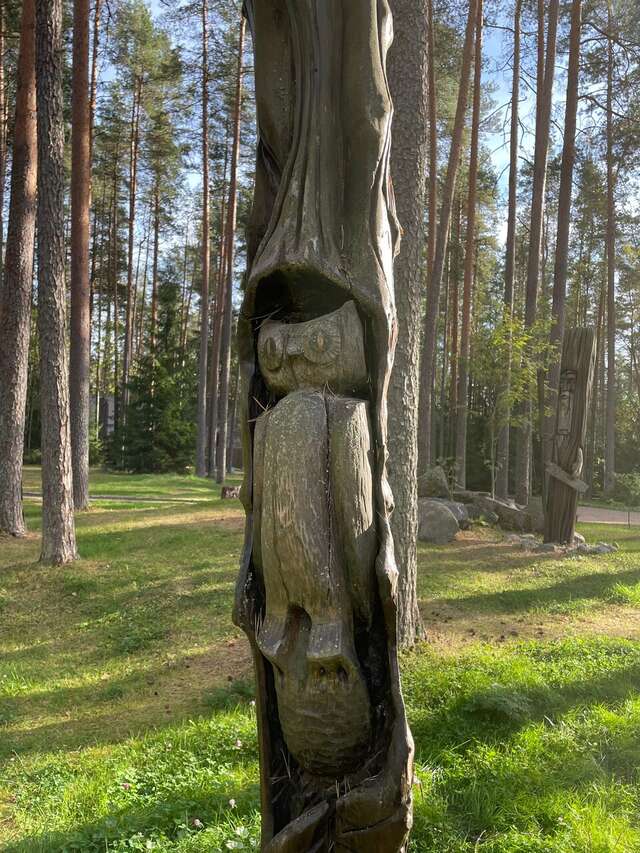 Гостиница Райвола Рощино-190