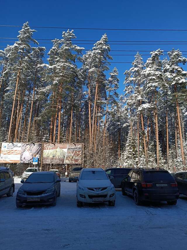 Гостиница Райвола Рощино-170