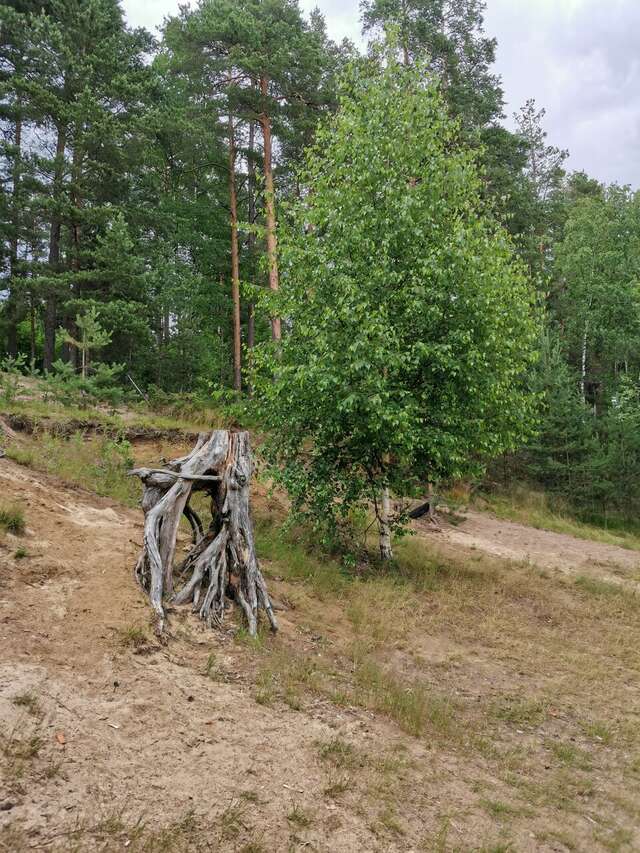 Гостиница Райвола Рощино-134