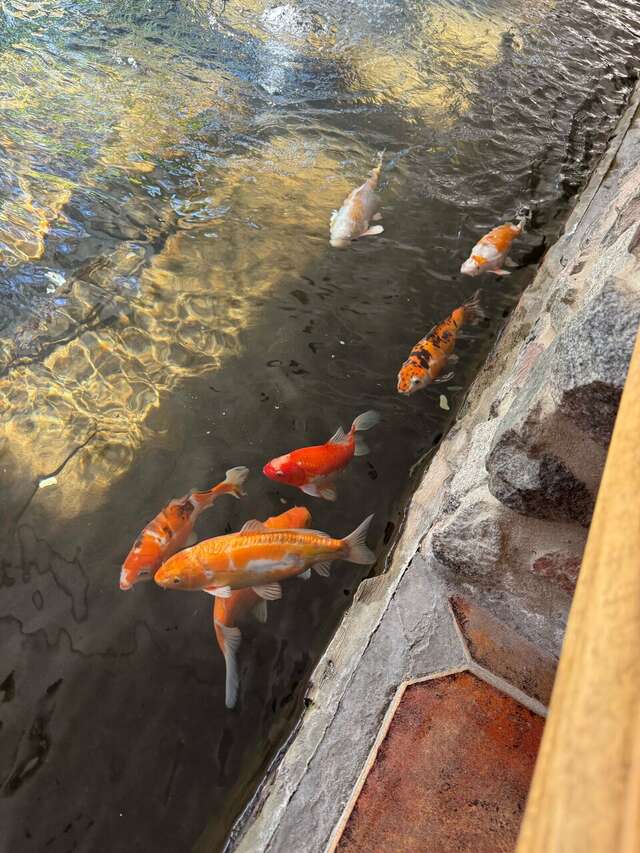 Гостиница Райвола Рощино-96