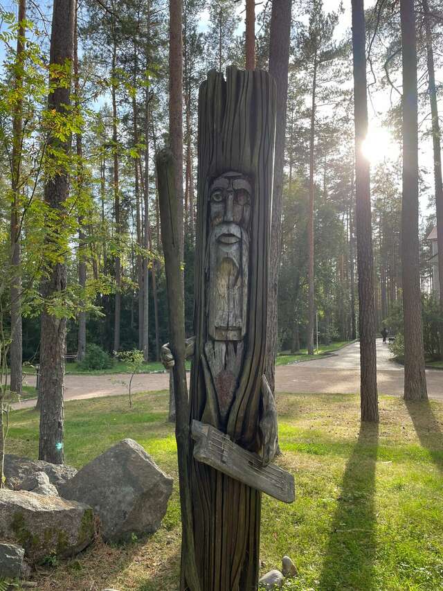 Гостиница Райвола Рощино-132