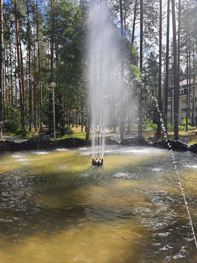 Гостиница Райвола Рощино-110