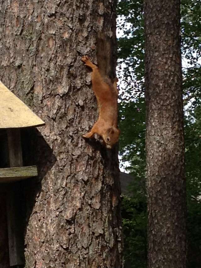 Гостиница Райвола Рощино-61